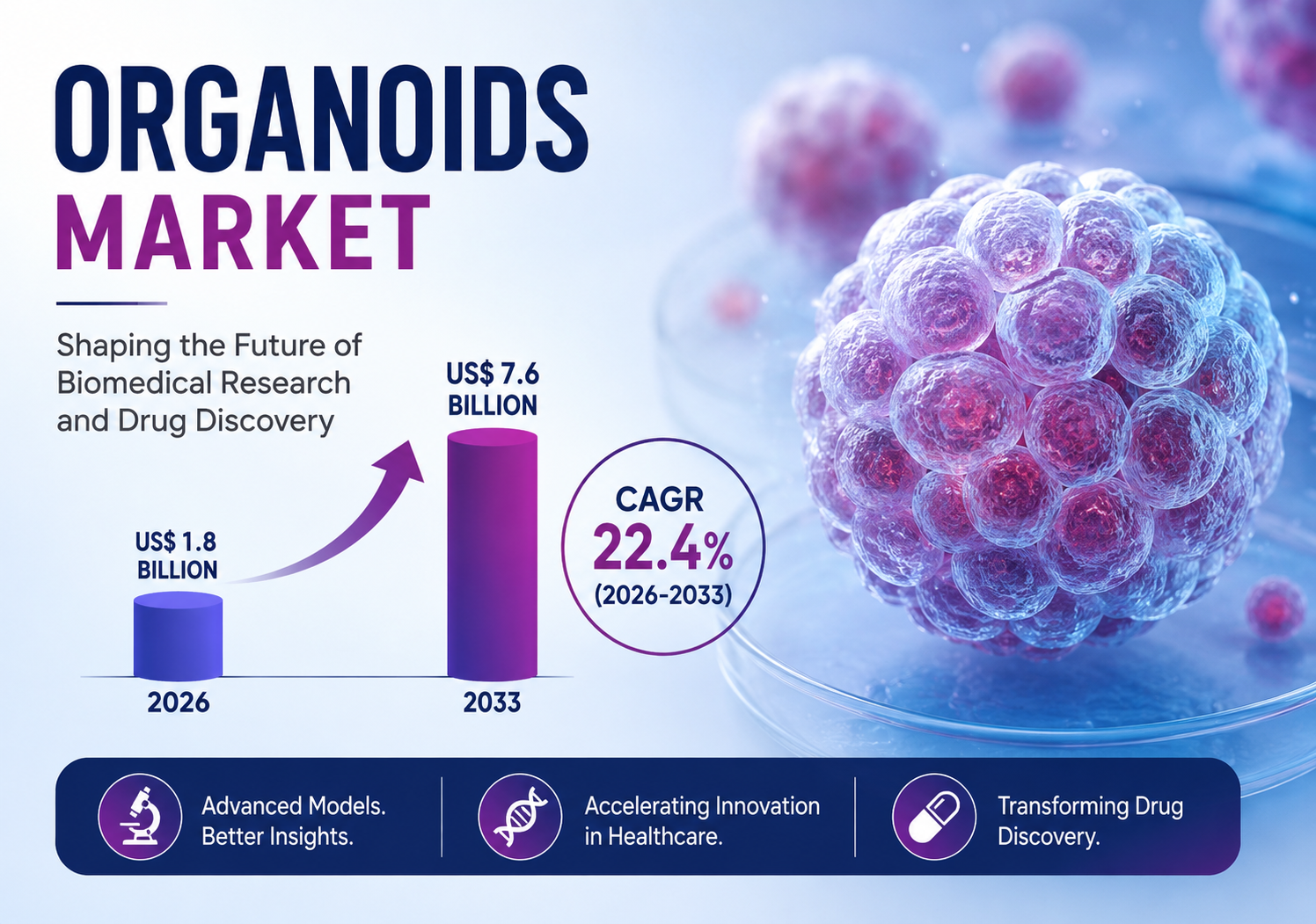 Organoids Market Analysis Covering Stem Cell and Tissue Engineering Advances
