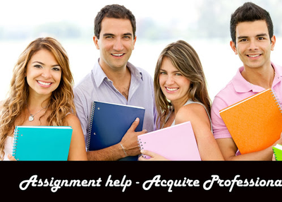 Assignment Help – Acquire Professional Support