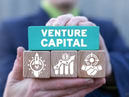 How Venture Capital Funds Work — A Complete Guide