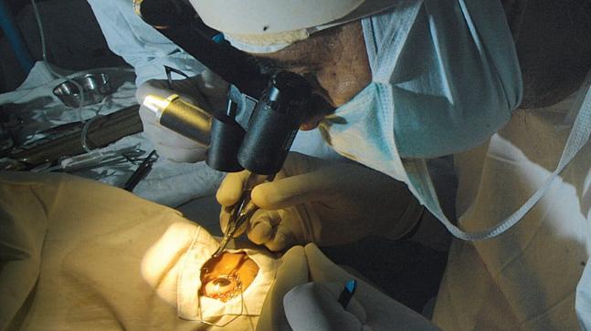 Top Laparoscopic Surgeons in india