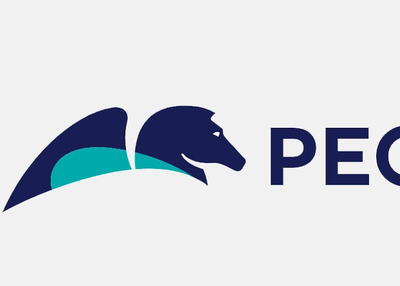 “Know the Unknown” Facts about Pega