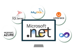 Top 10 .Net Development Companies India & USA