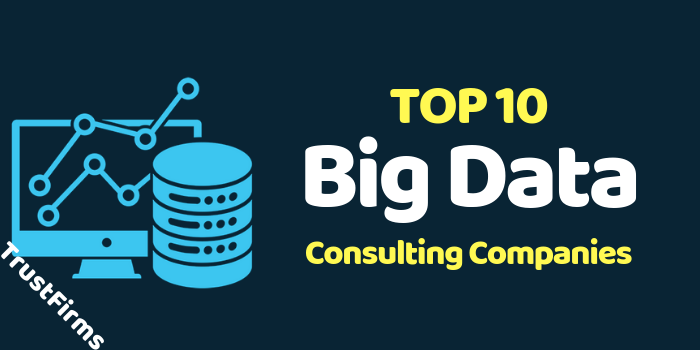 Big Data Development Companies