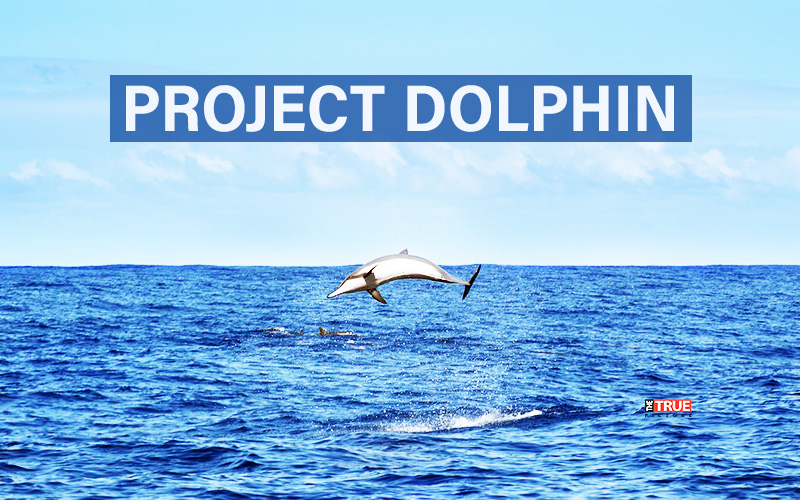 What Does It Mean for India to Save the River Dolphin? Examining the Global Significance