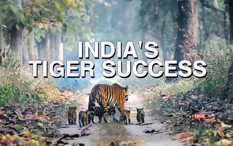 What A Tiger Can Tell About India?