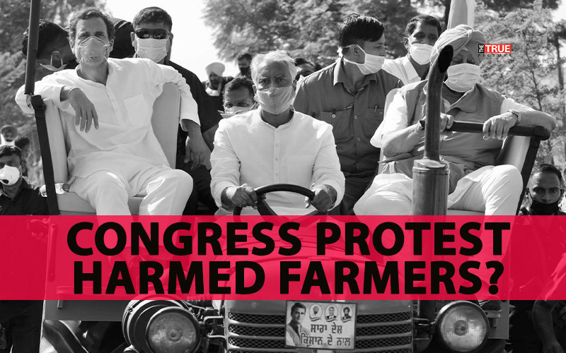 Rahul Gandhi’s Sofa-Fitted Tractor Backfires in Punjab – Ends Up Hurting Farmers’ Sentiments