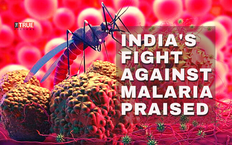 WHO Acknowledges India’s Impressive Progress in The Fight Against Malaria