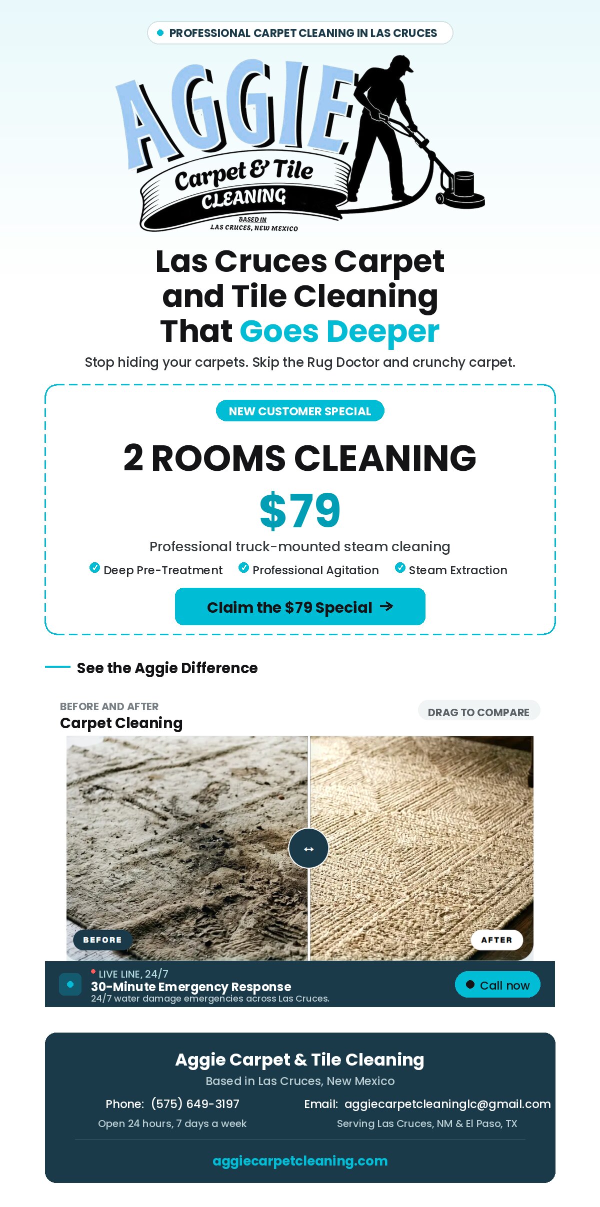 Why Does Pet Urine Odor Keep Coming Back After Cleaning?