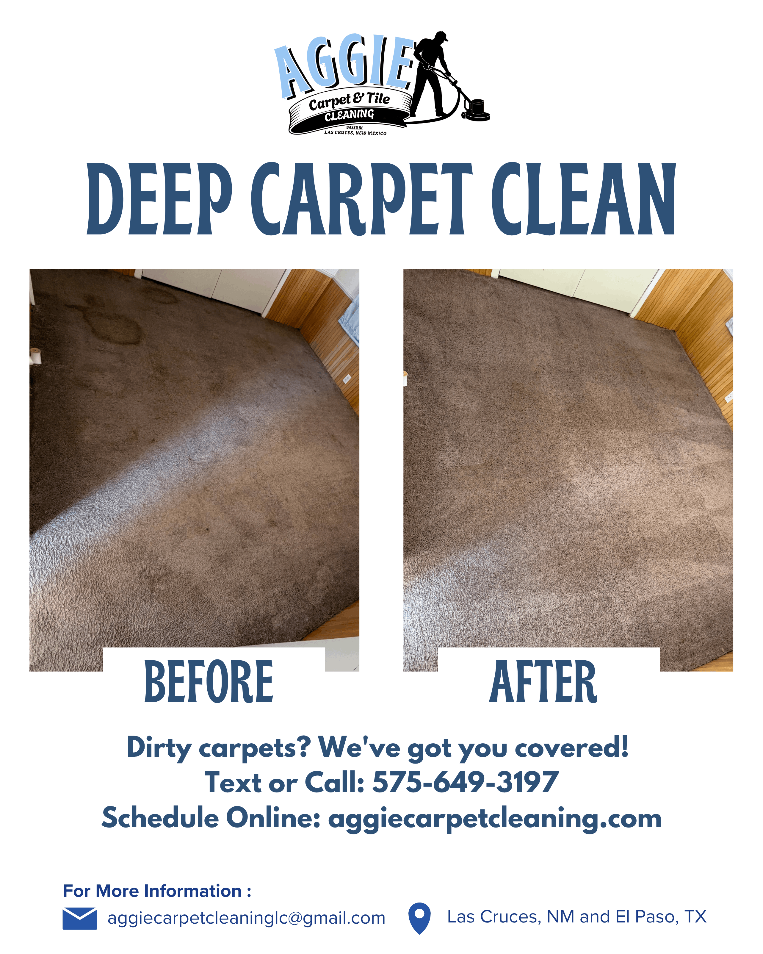 How Often Should You Clean Carpets in Las Cruces?