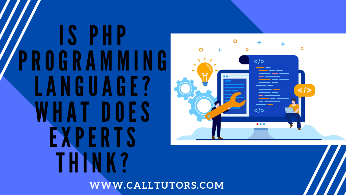 Is the programming language PHP? What do the experts think?