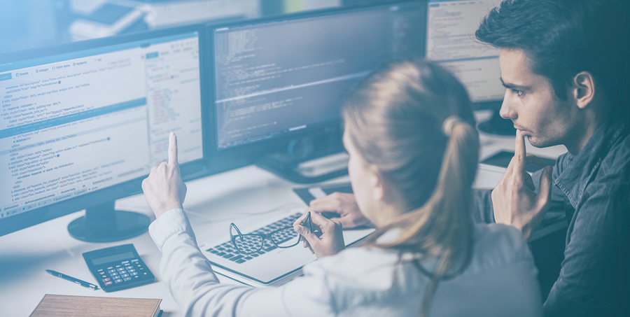 Openemr Customization and Services