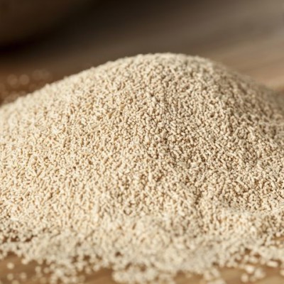 Global Yeast Market Report 2020 Forecast to 2025