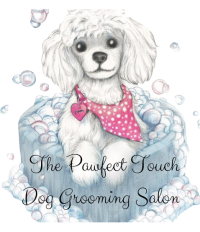 Dog Bath, Wash , Trimmer and Brushing Greenvale