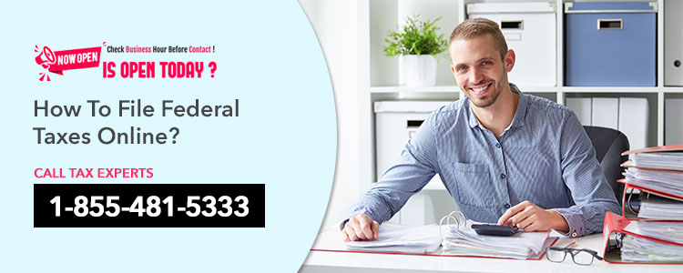 Federal Taxes Online eFile Guide