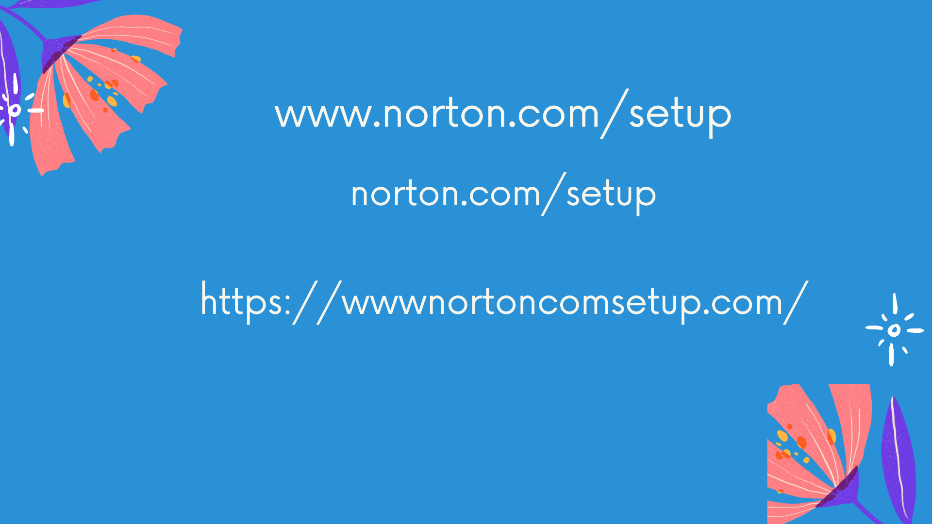 www.norton.com/setup