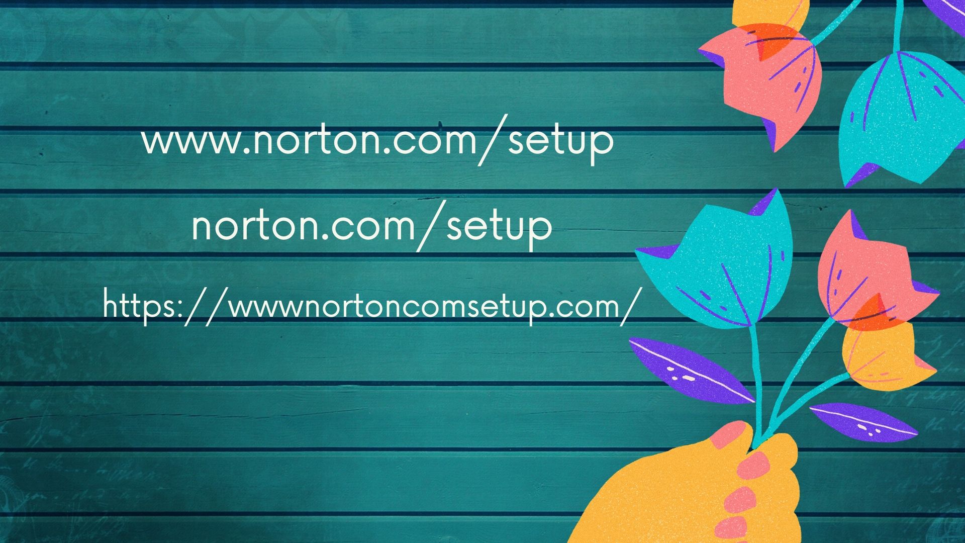 www.norton.com/setup