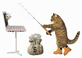 Examine to Understand How to Collect Your Money from a Scammer