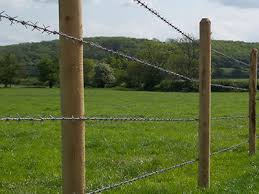 Few things worth knowing before your buy barb wire