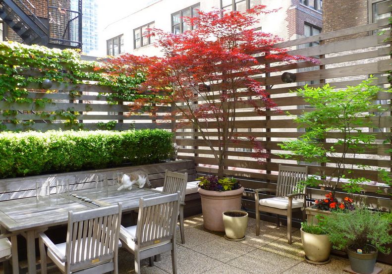 Advantages of using privacy screen