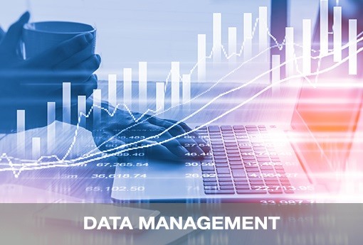 Customer Data Management Platform In Australia