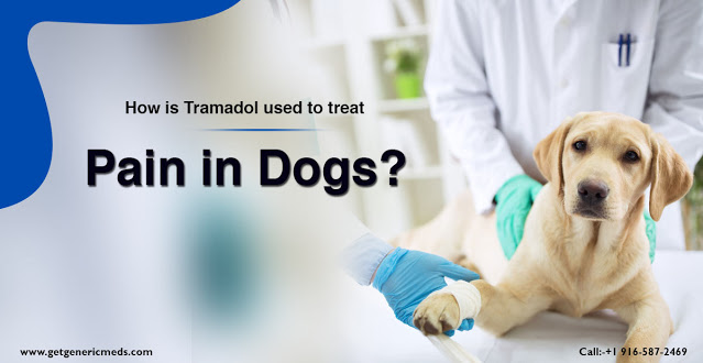 How is Tramadol used to treat pain in dogs?
