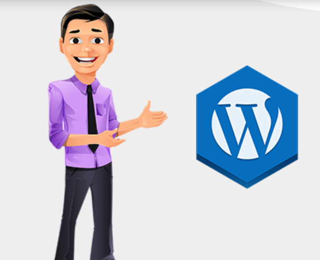 Offshore WordPress Development Company/Developers India & USA