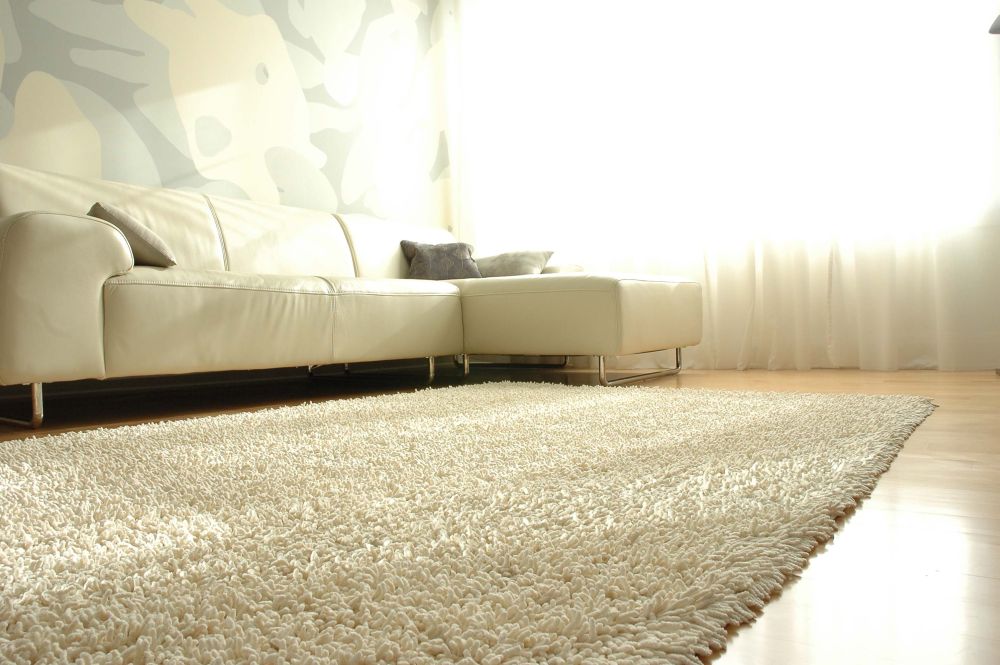 Shaggy Rugs Dubai