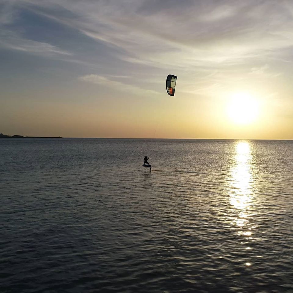 Shop Premium foil at the TAAROA website.