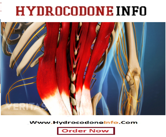 Purchase Hydrocodone Online