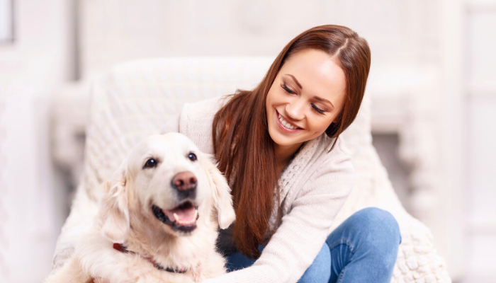 Liabilities To Expect From Pet Boarding Services