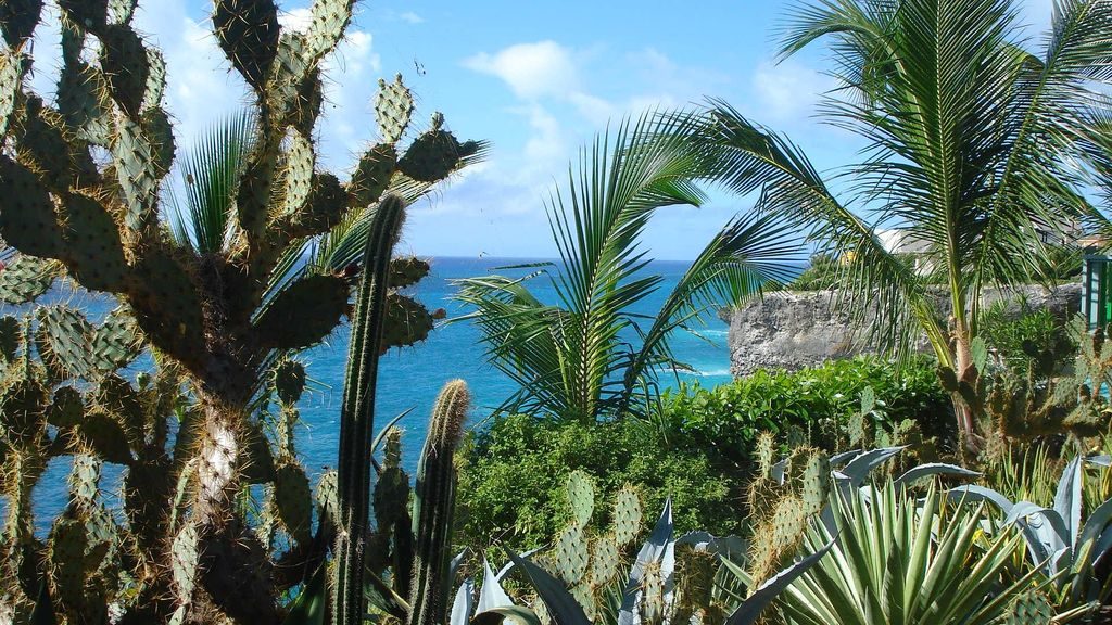 best top vacation rental websites by owner