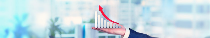 How Solution Consulting can help your business to grow?