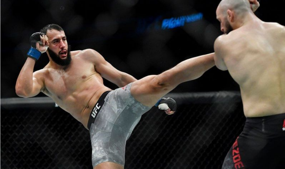 UFC Live Stream Free