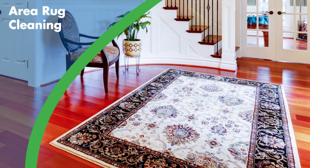 Area Rug Cleaning Services Toronto