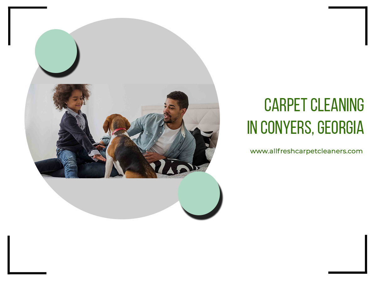 6 Hacks to keep your carpet clean