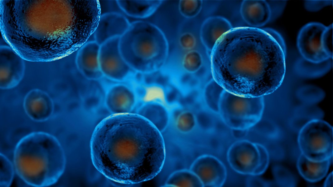 Regenerative Medicine Market Size, share, Trend And Forecast 2028