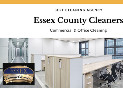 3 Cleaning Jobs You Can’t Do Without Professional Cleaning Agency