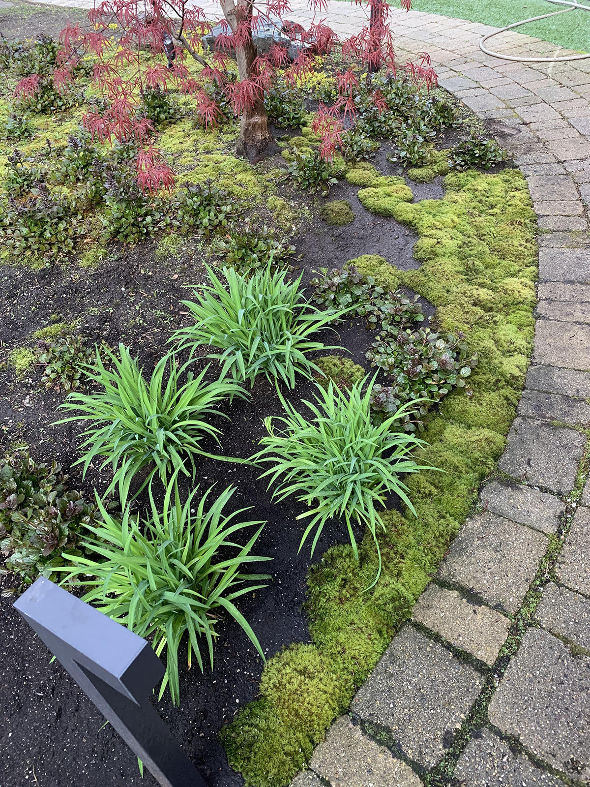 Fall Planting, Spring Blooms