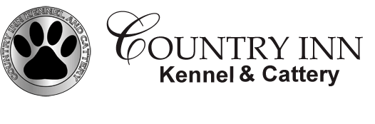 Reducing Stress for First Time Cat Owners