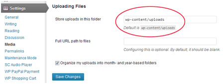 Fix the Directory Error in WordPress | WP Development Company