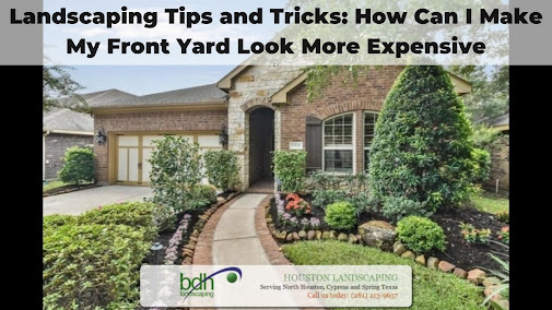 Landscaping Tips and Tricks: How Can I Make My Front Yard Look More Expensive