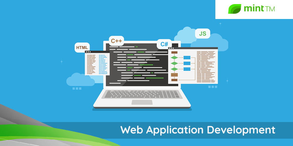 Custom Web Application Development Company- MintTM