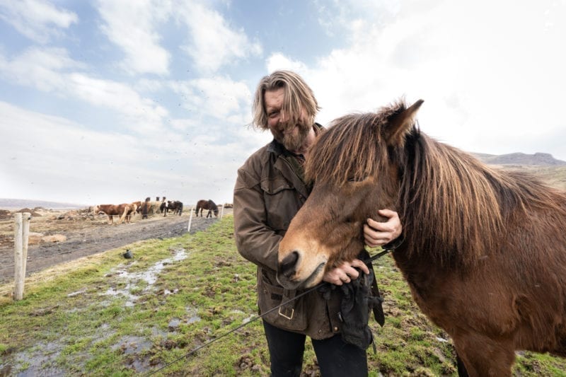 Horseback Riding Reykjavik