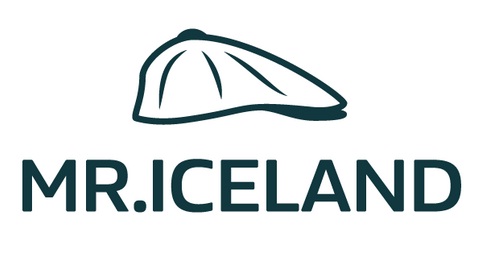 Horse Riding in Iceland