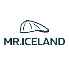 Horse Riding Iceland