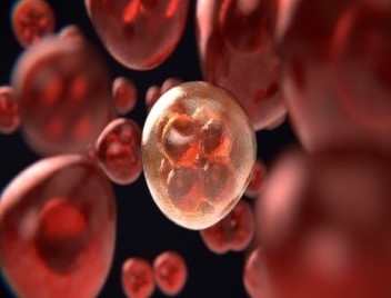 Global Nucleic Acid Based Gene Therapy Market 2020 – Industry Analysis Report Till 2023