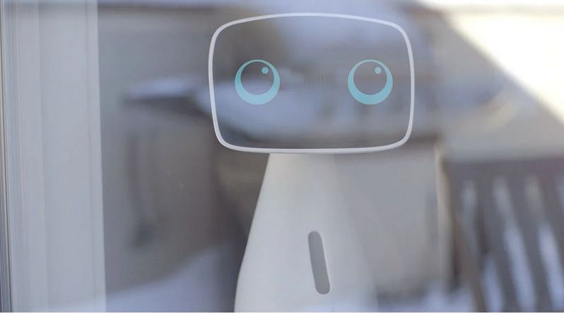 Aido Social Robot