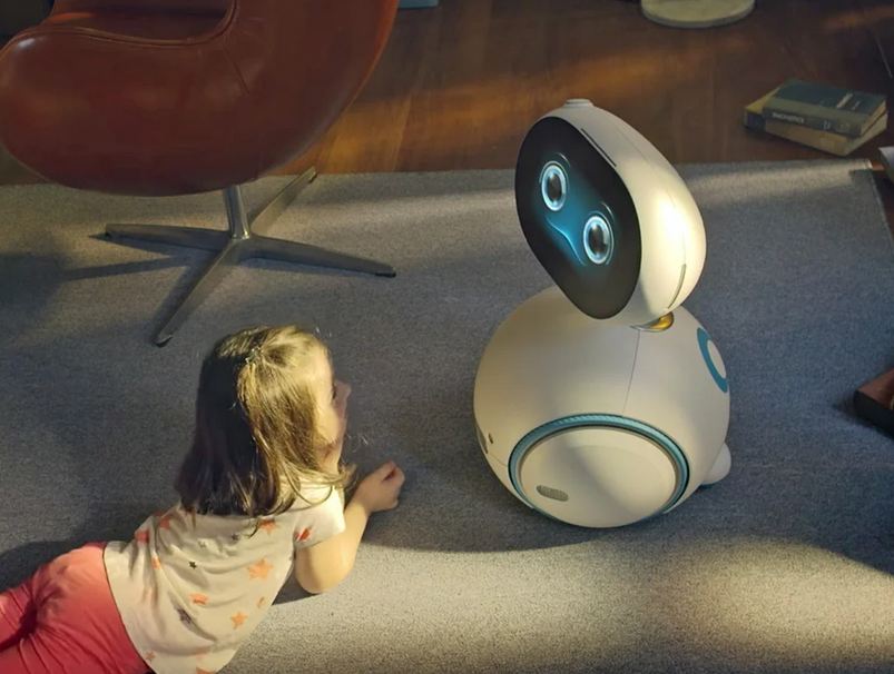 Living With Social Robots 