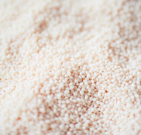 What are BioBags made of?