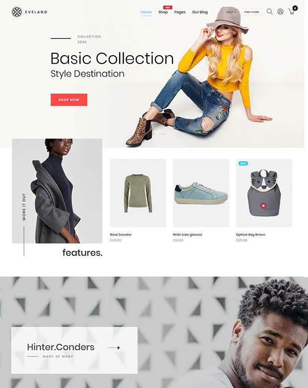 WordPress ready made website
